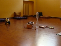 III-LIVELLO-P-MUSICOTERAPIA-DIDATTICA-MODELLO-BENENZON-LUGLIO-2015DSC07312.jpg