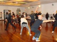 elan-vital-dzt-28-novembre-2015DSC07425.jpg