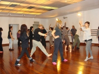 elan-vital-dzt-28-novembre-2015DSC07429.jpg